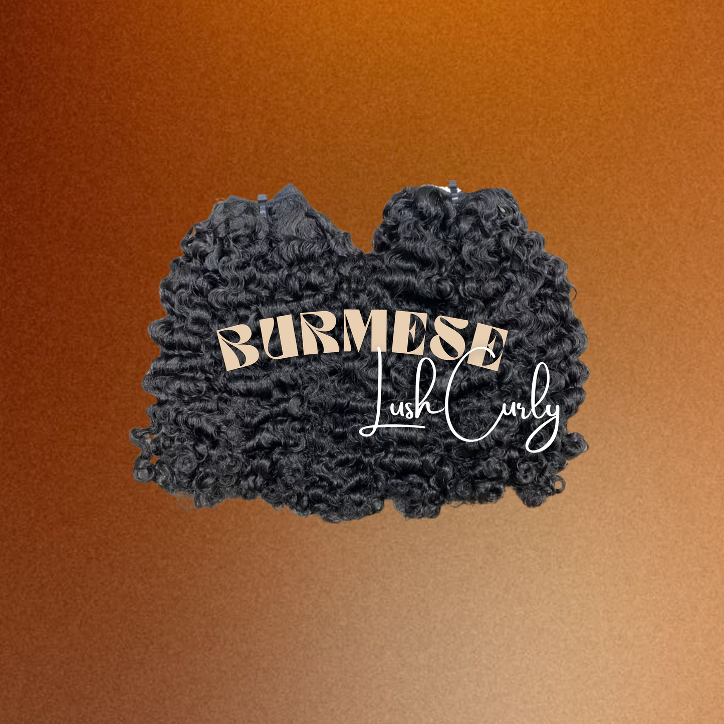 Burmese Lush Curly